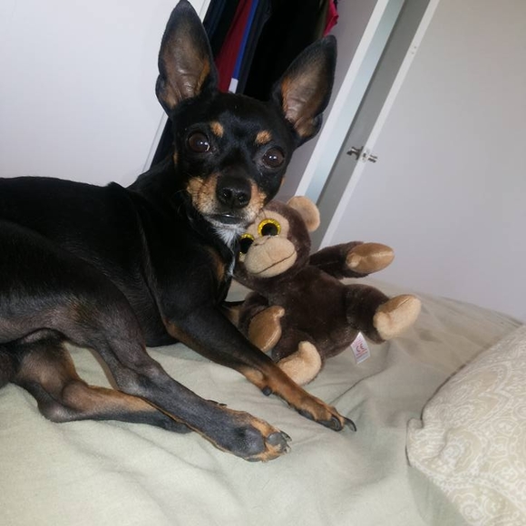 Meet your Posher, Ioana - Picture 1 of 1